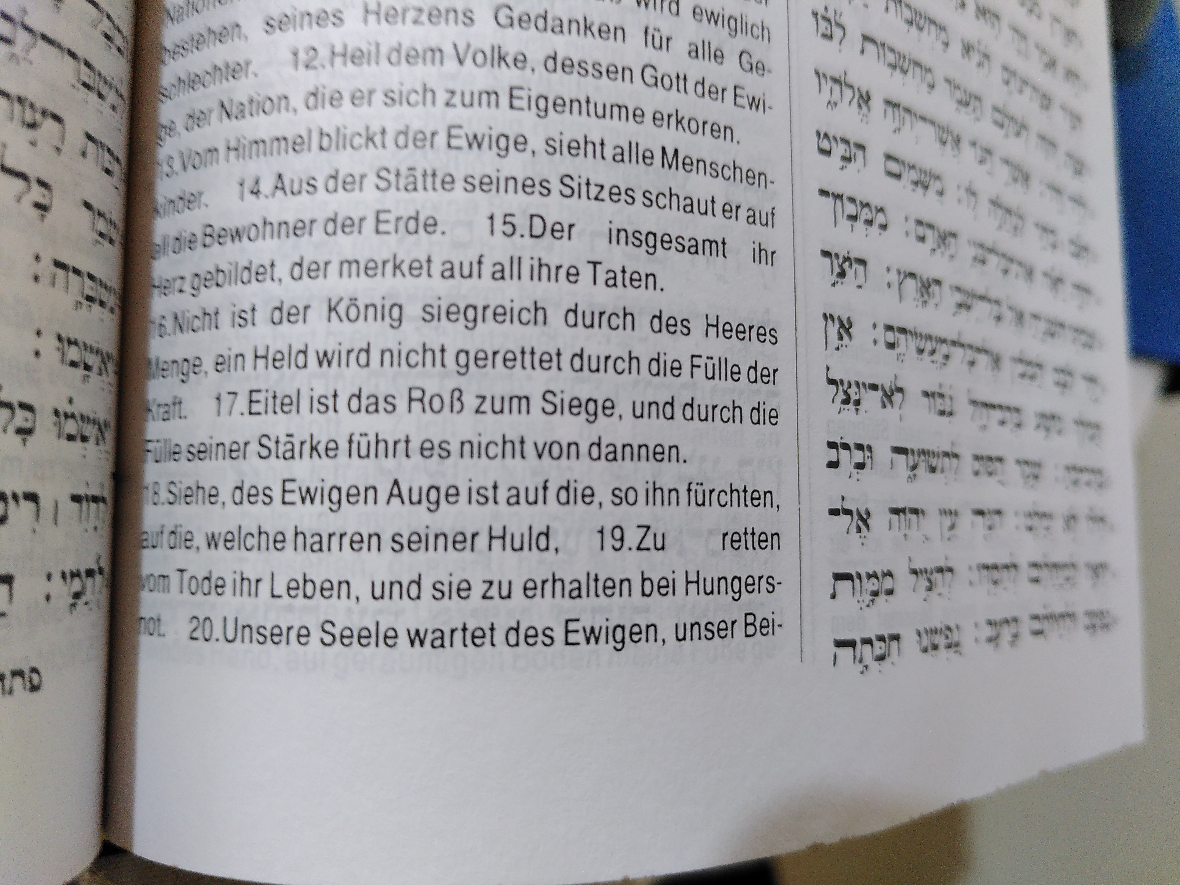 Psalm 33,18