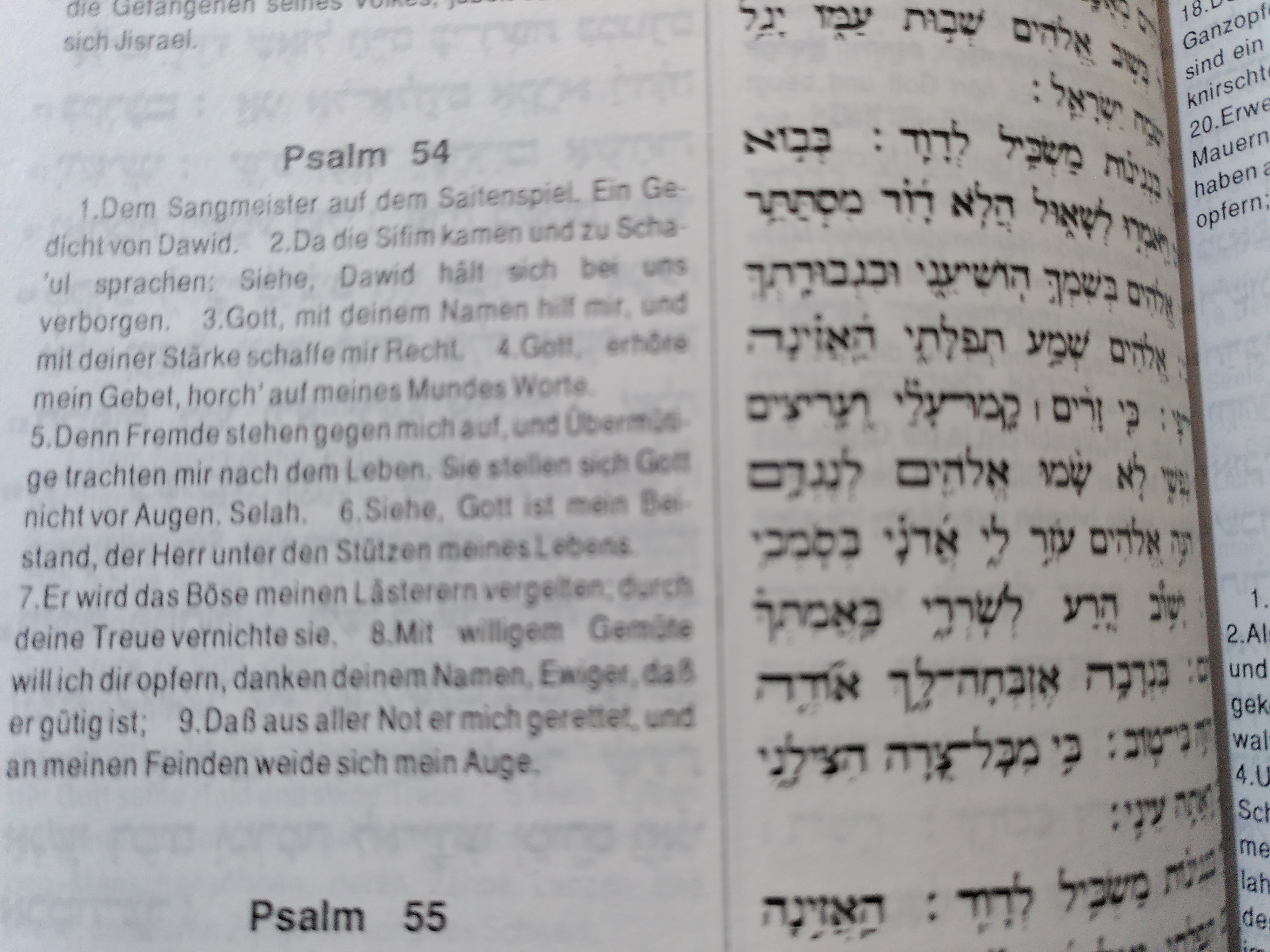 Psalm 54,6