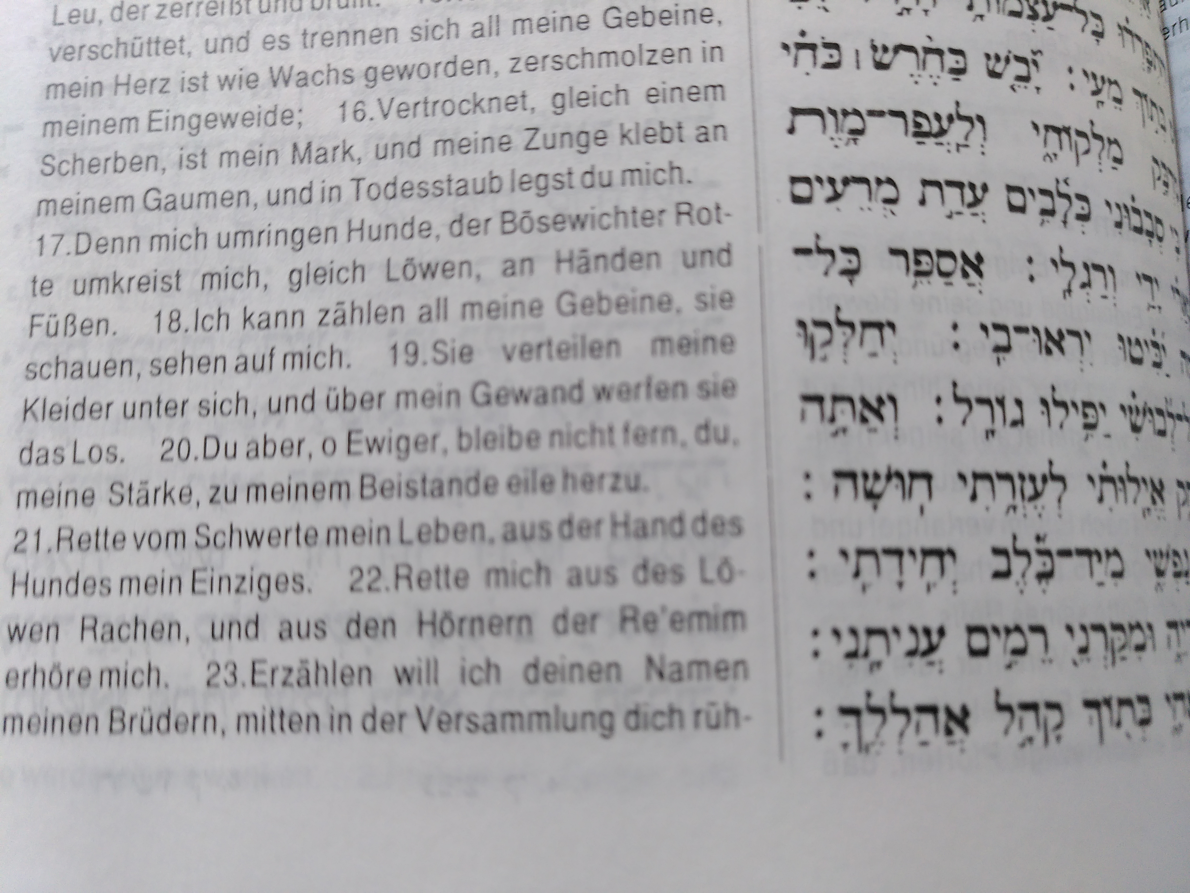 Psalm22,20