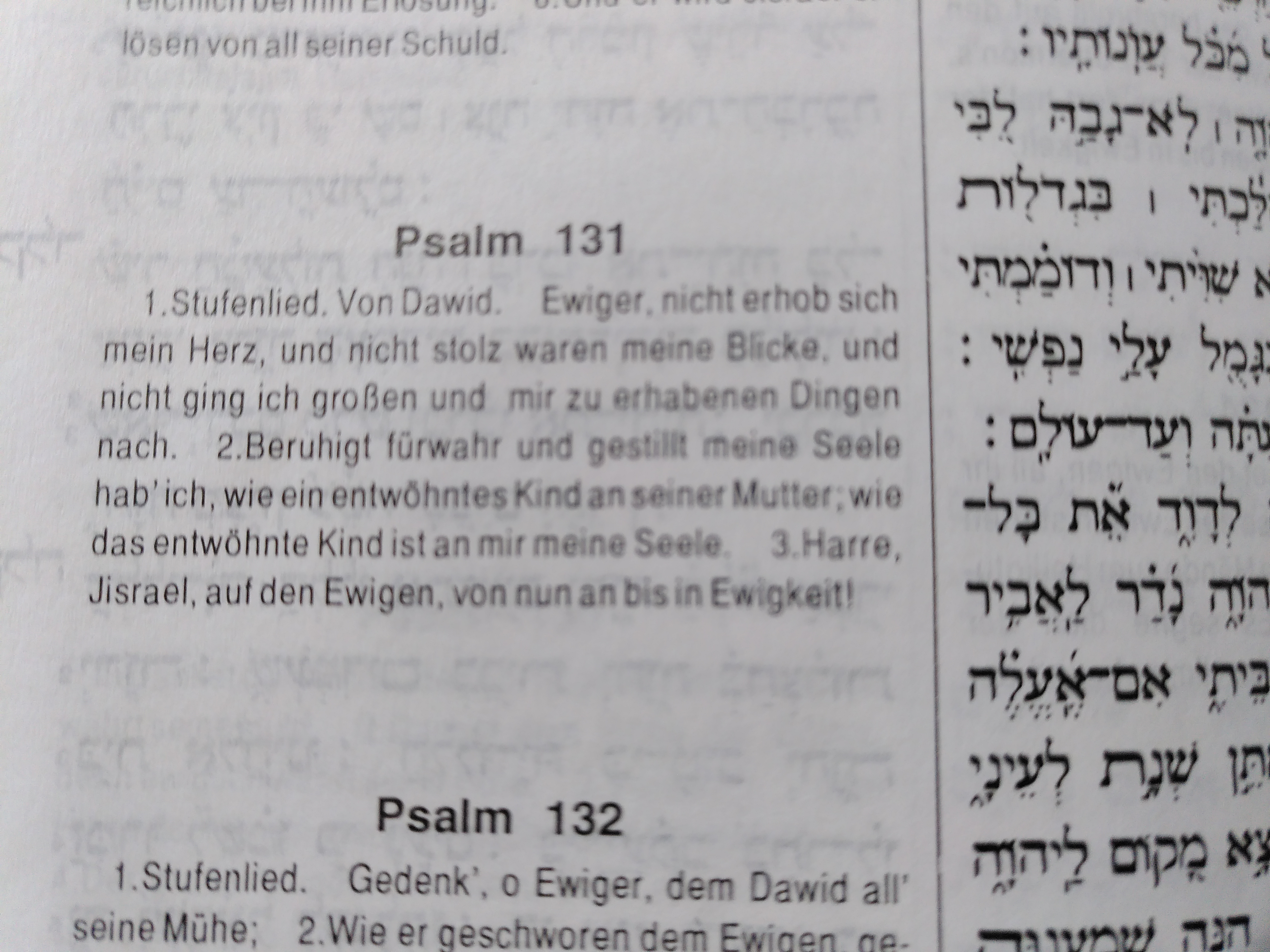 Psalm 131,3