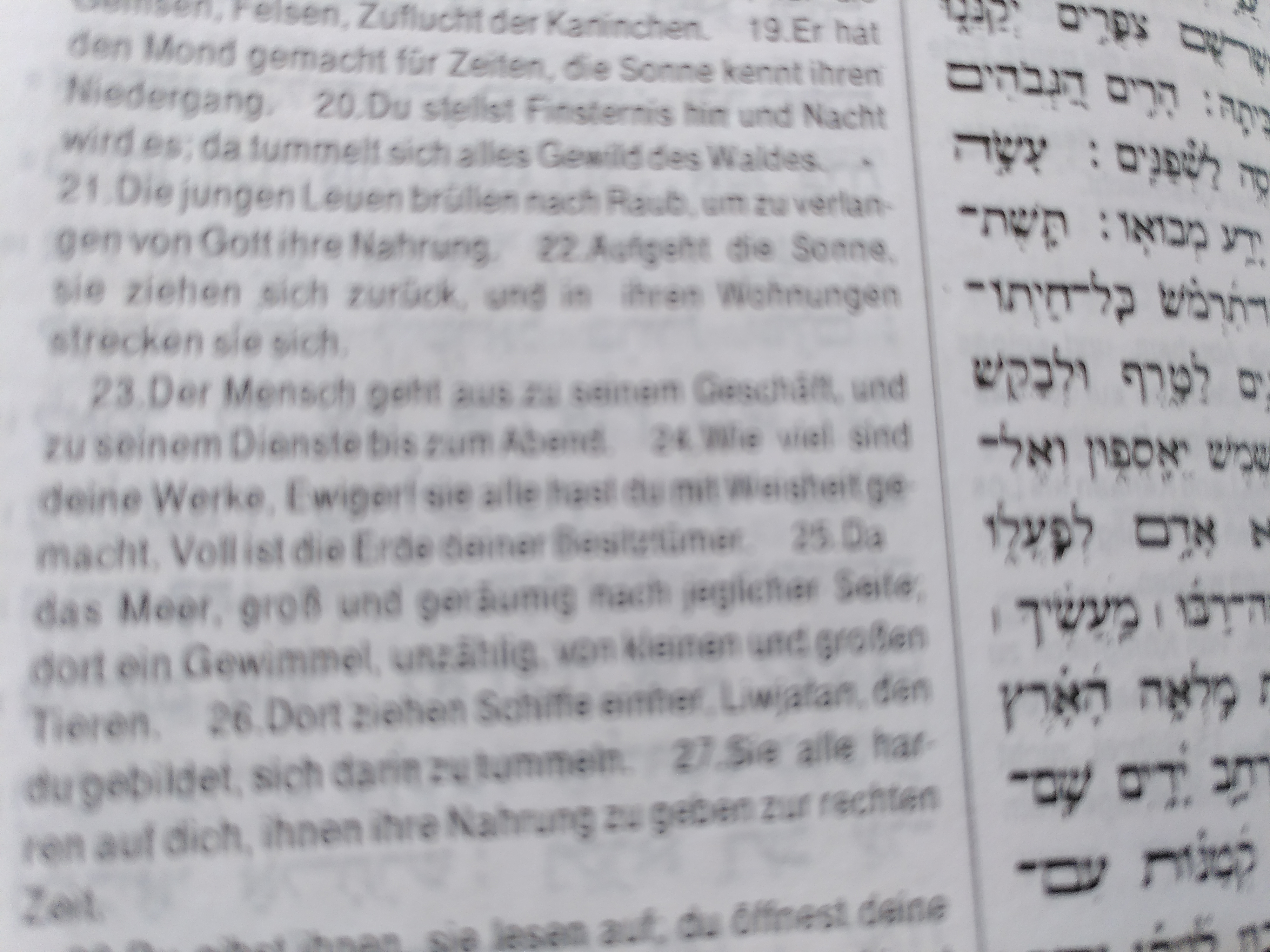 Psalm 104,24