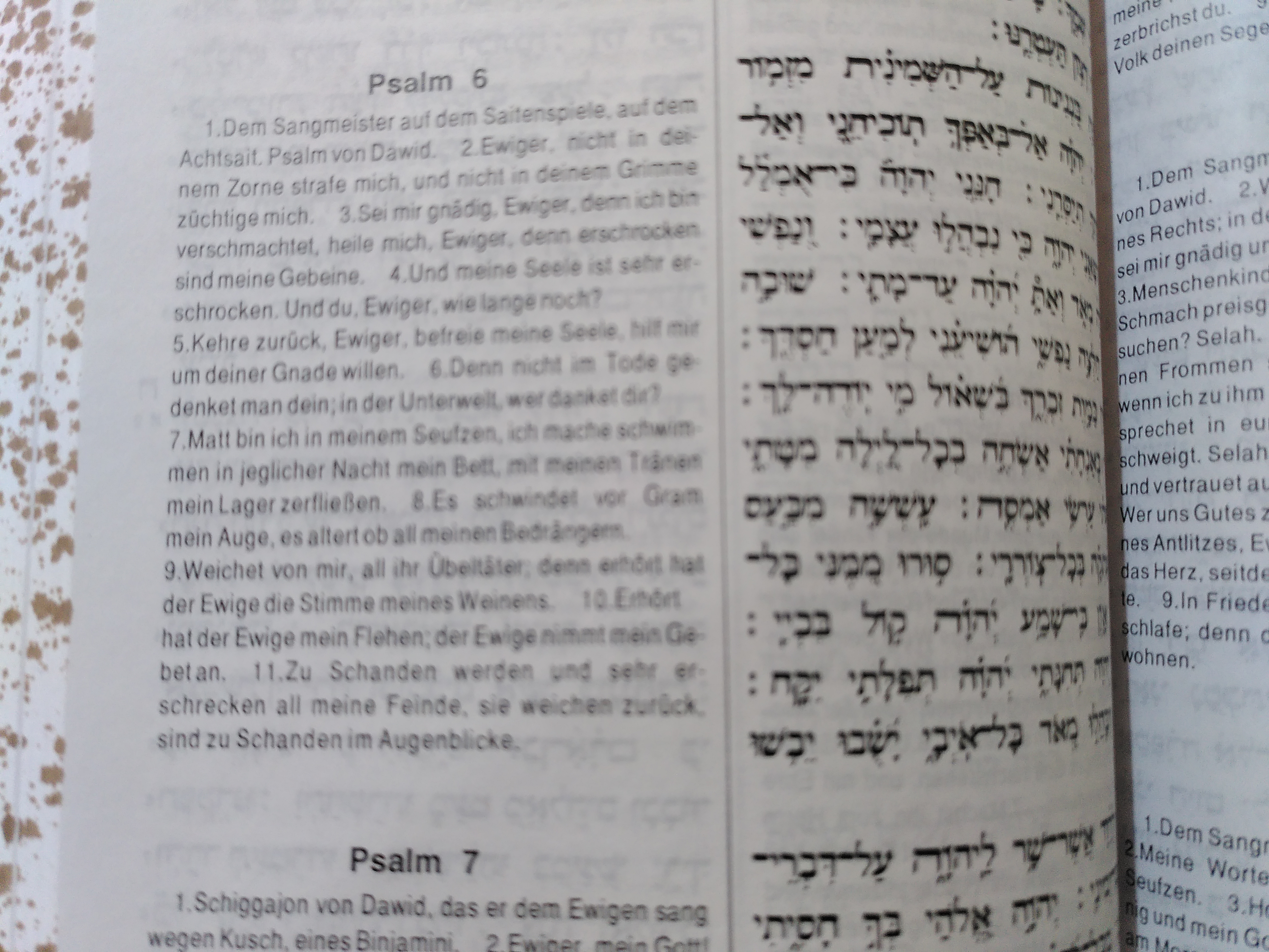 Psalm 6,5