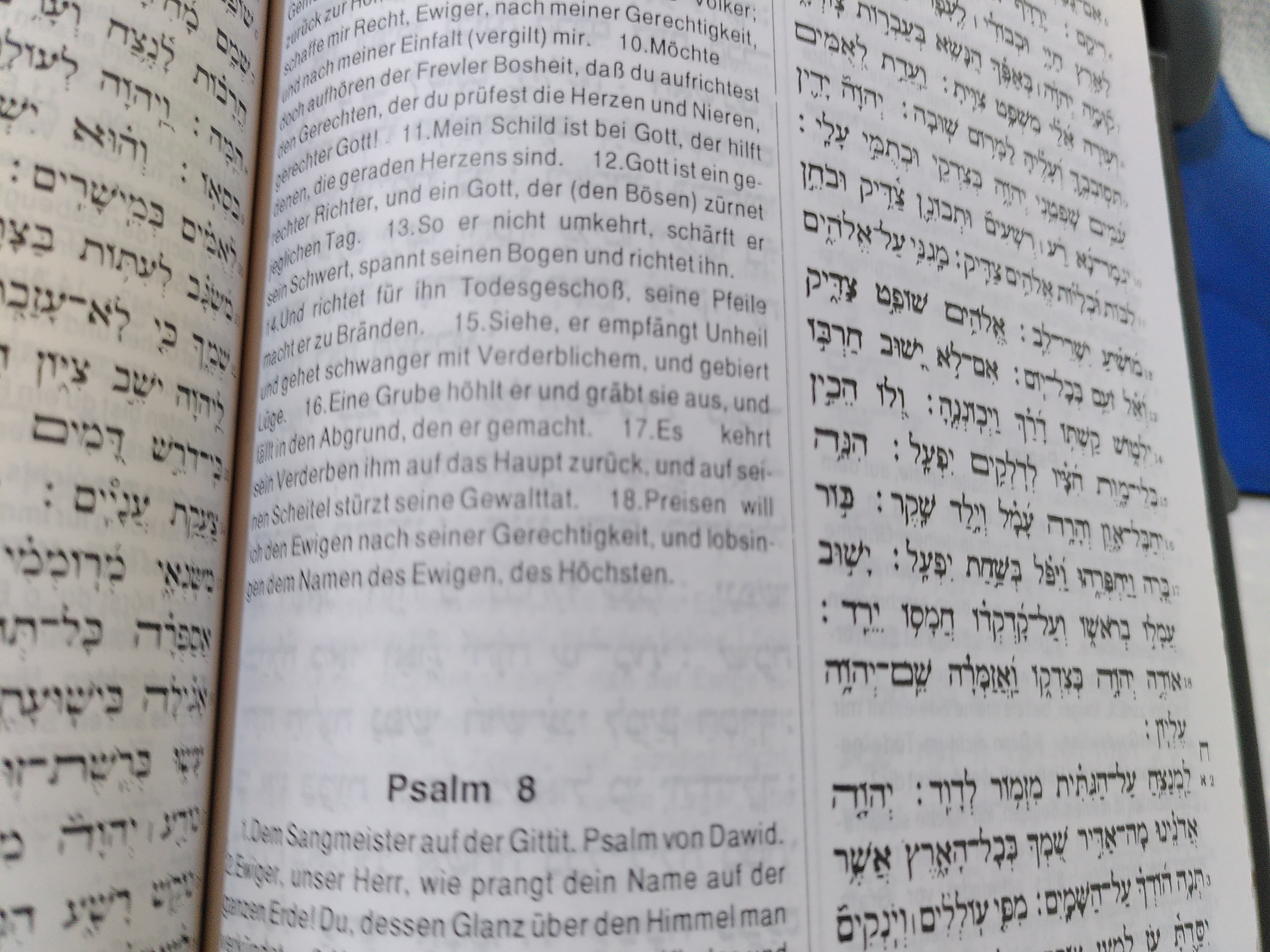 Psalm 7,18