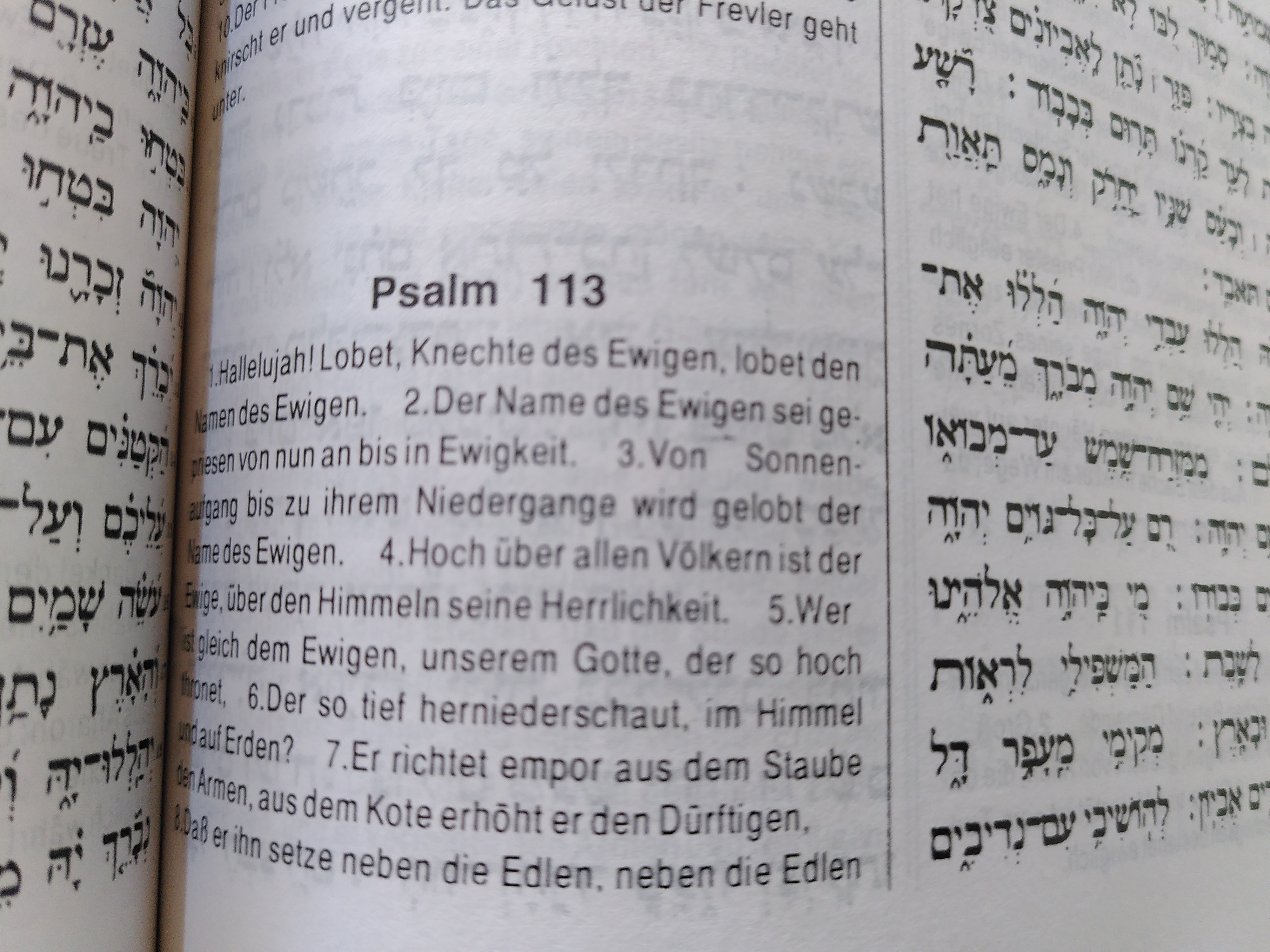 Psalm, 113,3