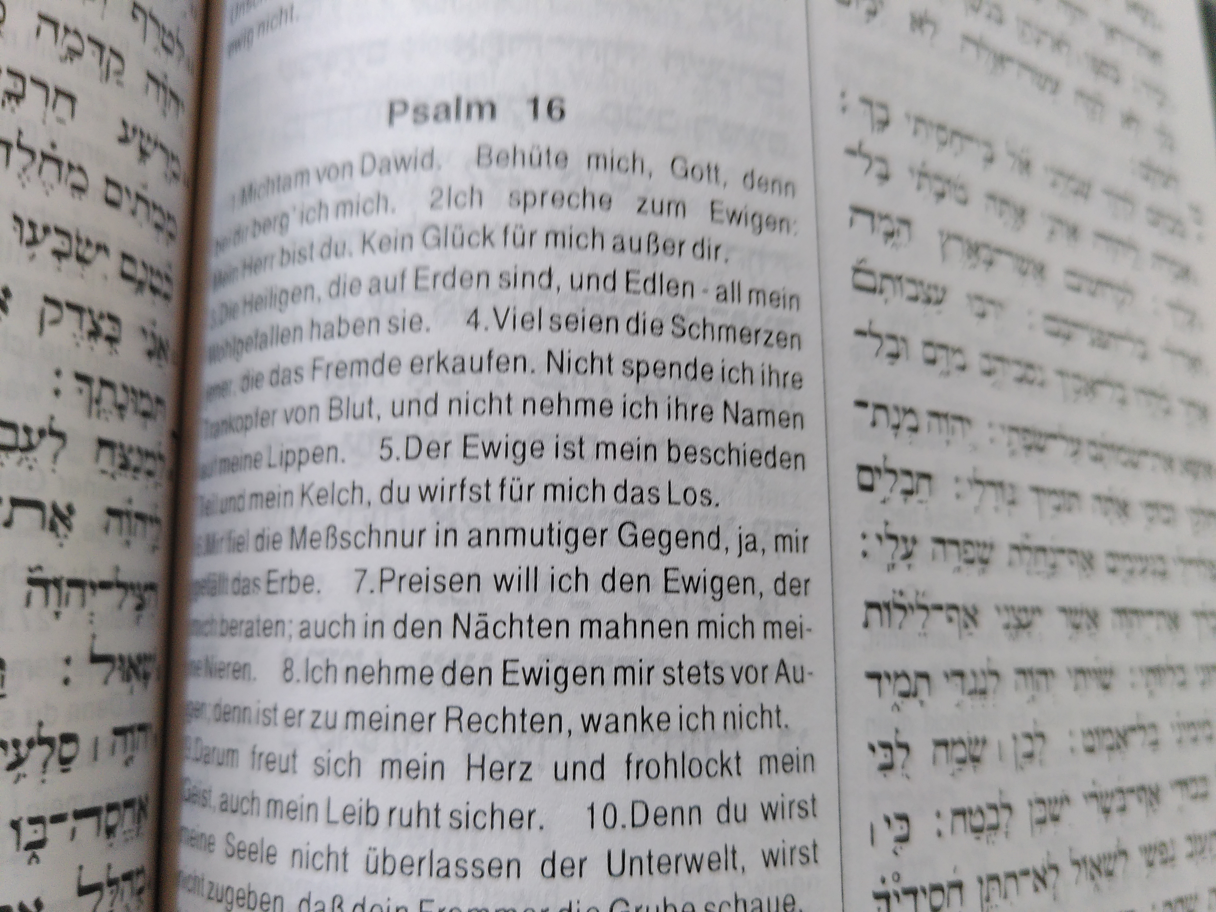 Psalm 16,5