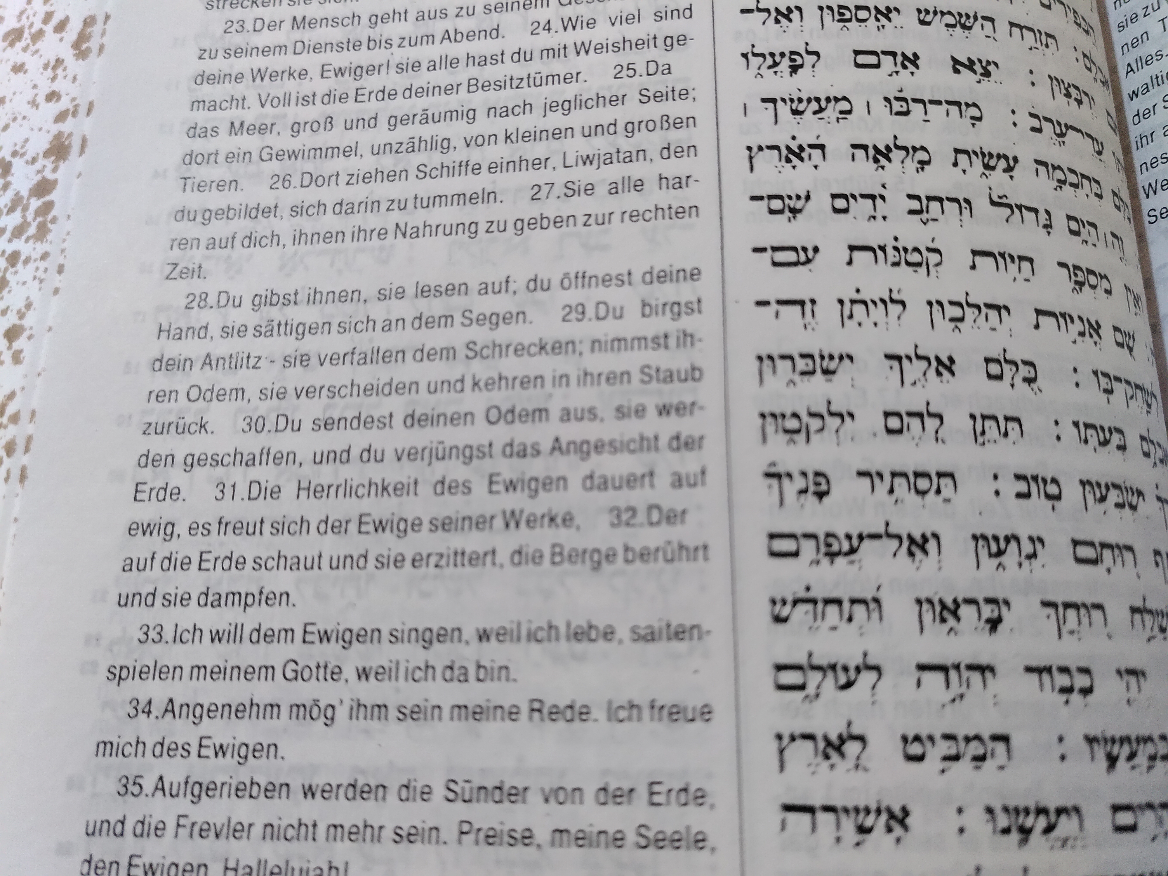 Psalm 104,31