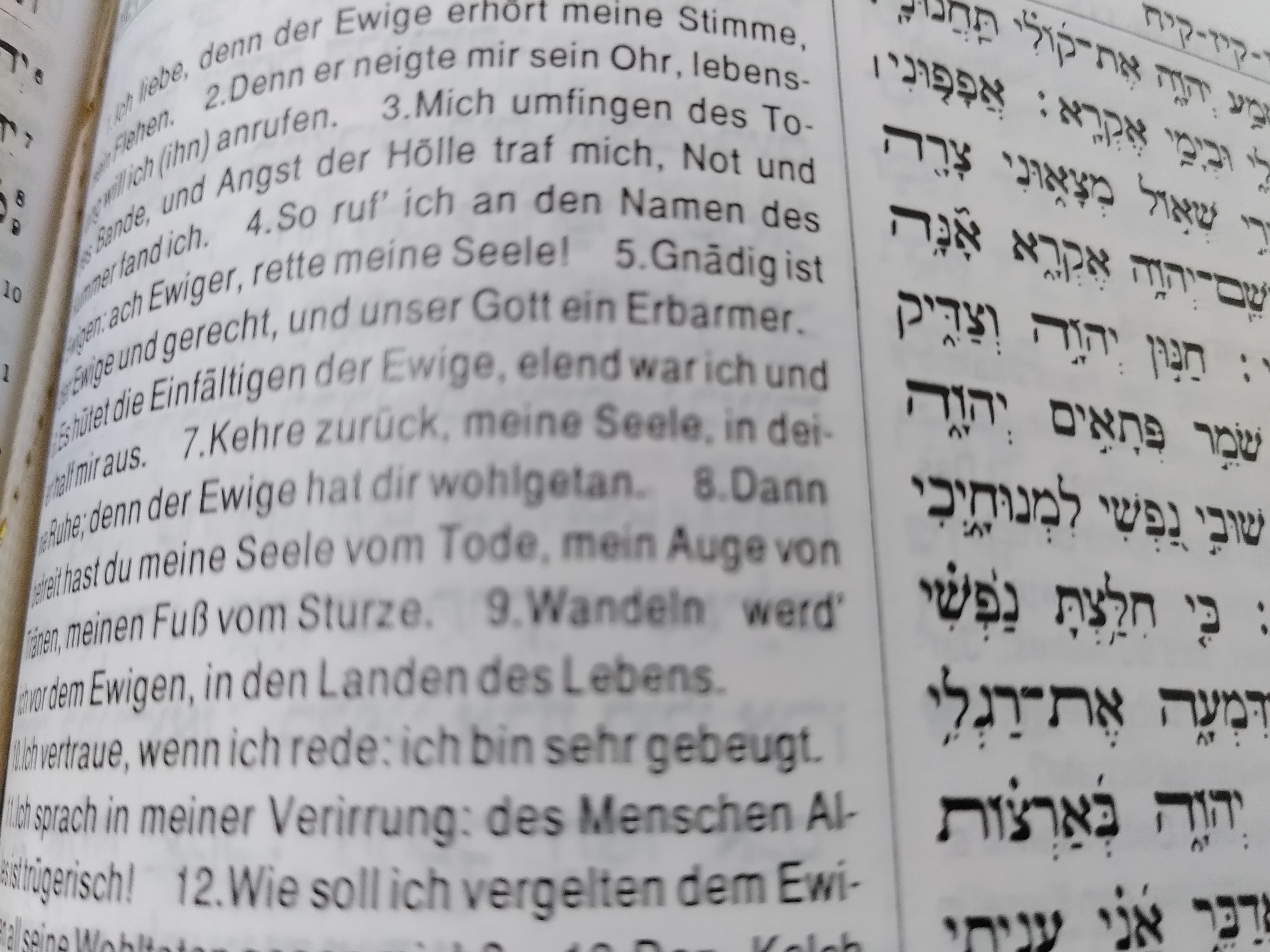 Psalm 116,7