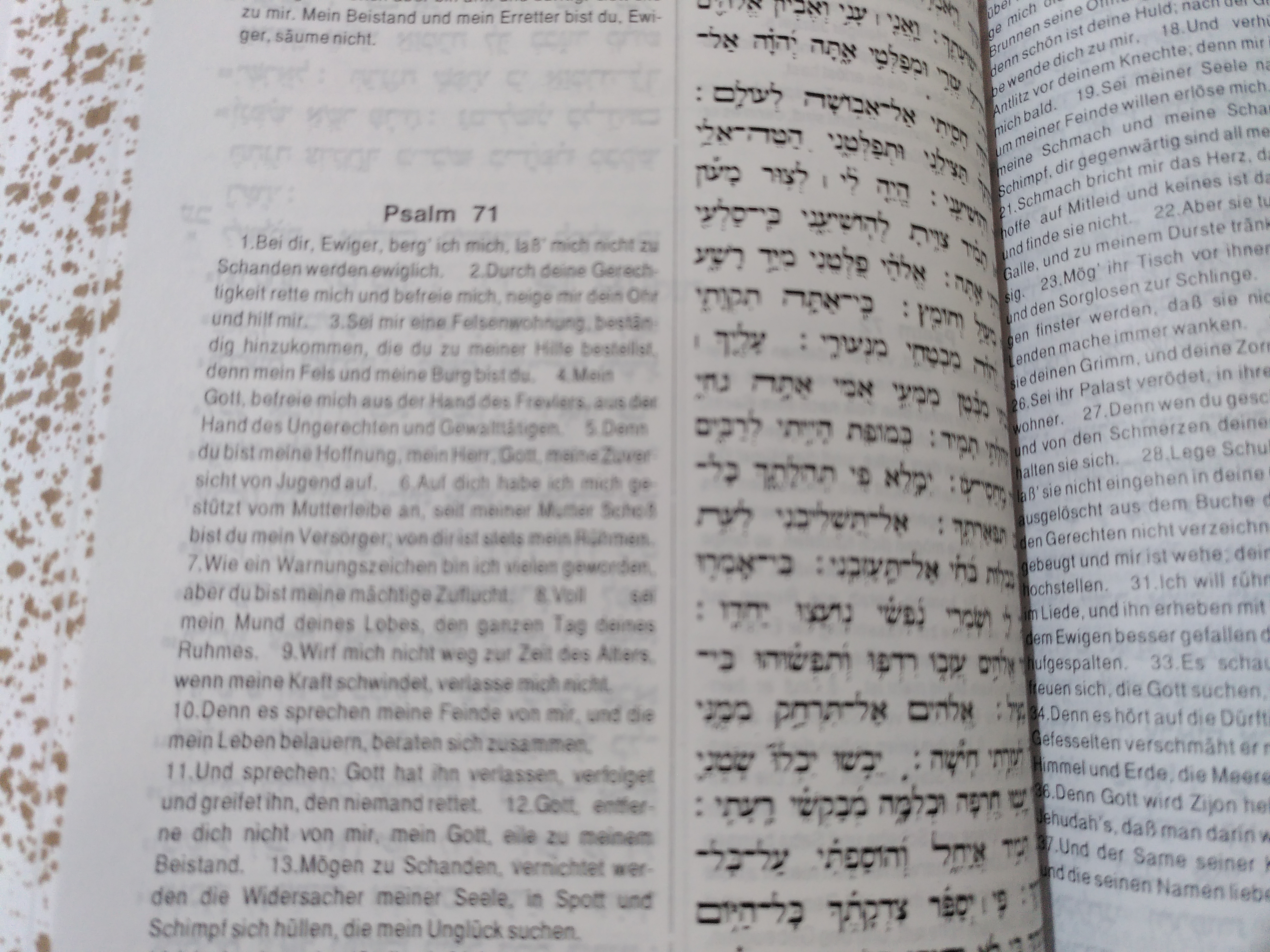 Psalm 71,5